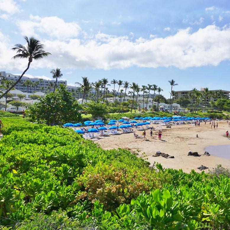 TO OGG Kahului Airport from Wailea, Makena and Kihei