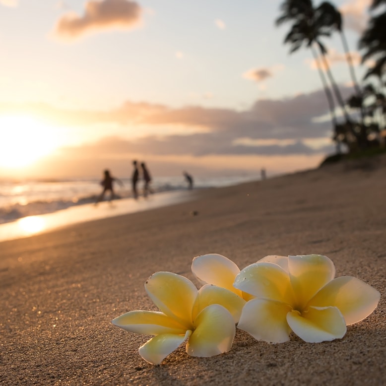 Call Royal Taxi (808) 874-6900 for your best destinations of Maui Sunset Beaches